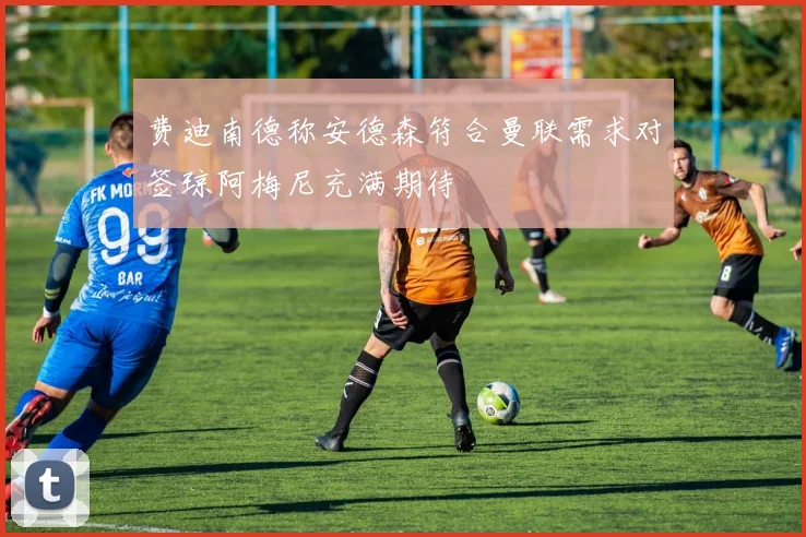 费迪南德称安德森符合曼联需求对签琼阿梅尼充满期待