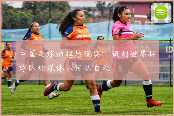 中国足球的尴尬现实：讽刺世界杯球队的媒体人何以自处